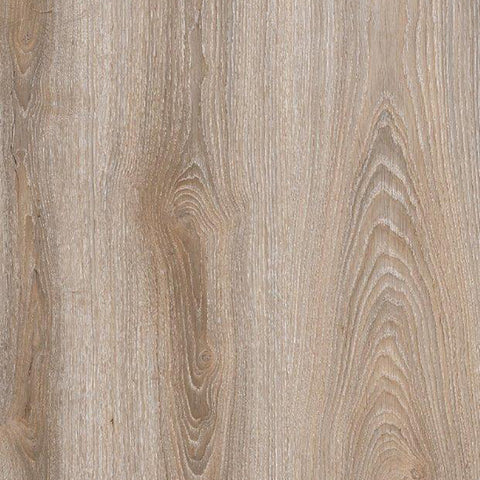 OAK Glom