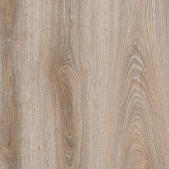 OAK Glom